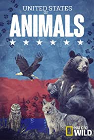 Watch Free United States of Animals (2016-)